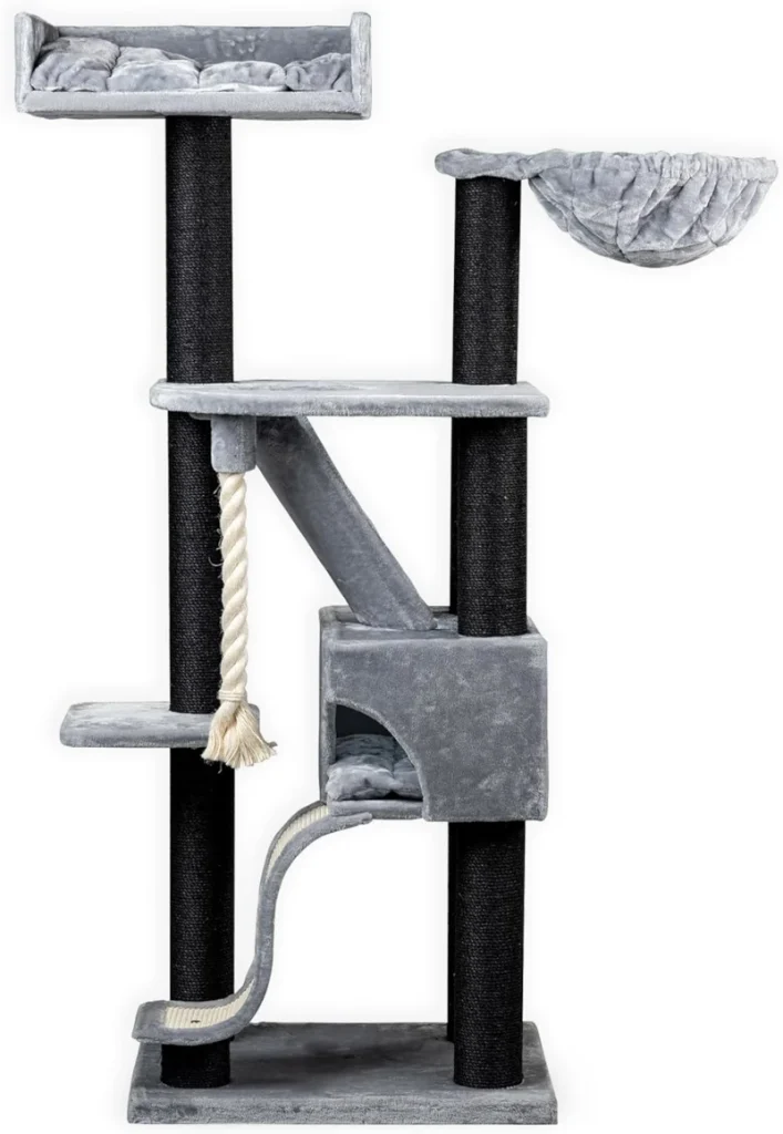 arbre a chat kilimandjaro