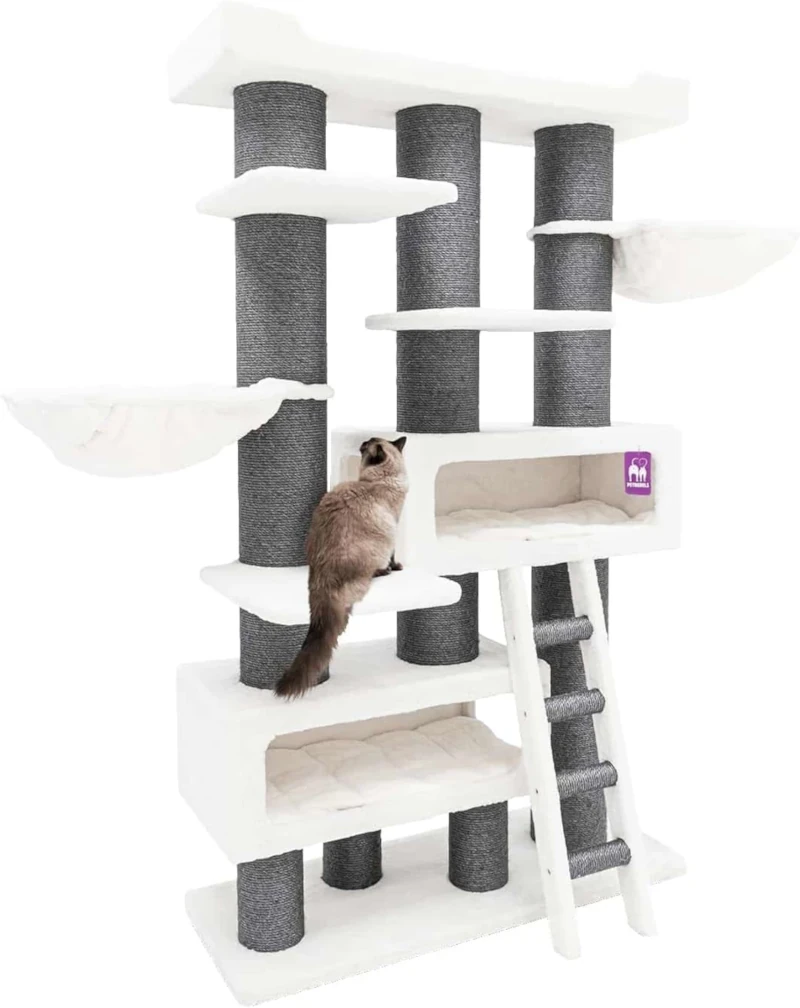 arbre a chat pet rebels maine coon