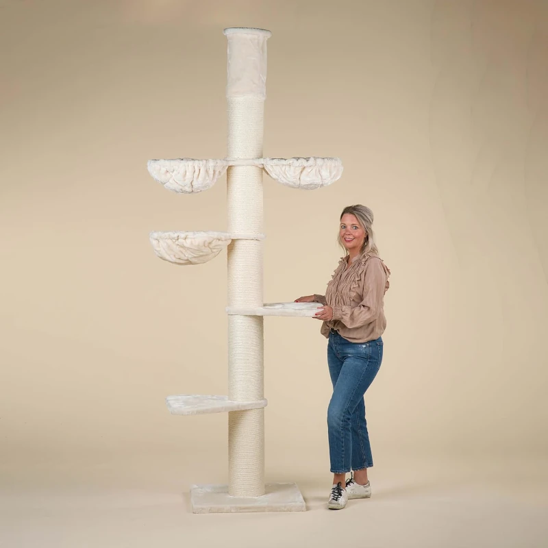 tour a griffer maine coon