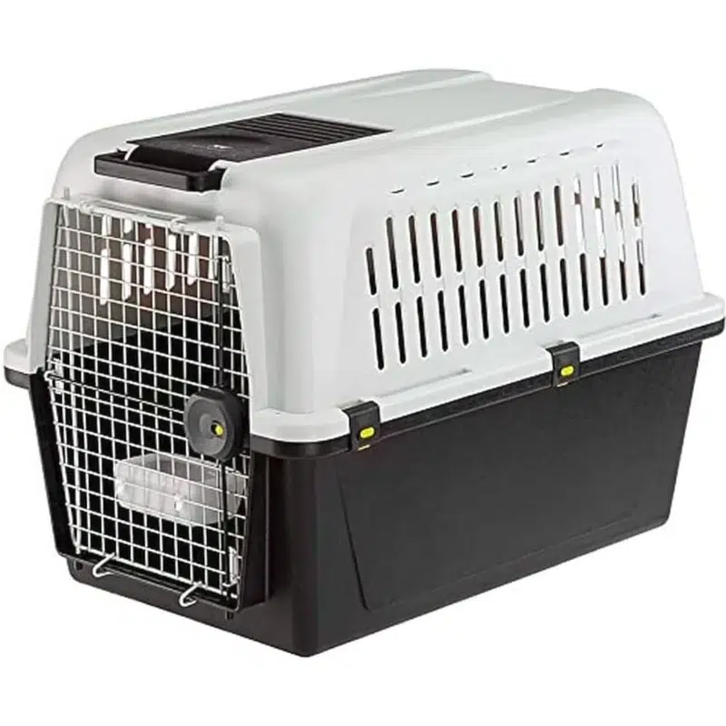 cage de transport pour maine coon