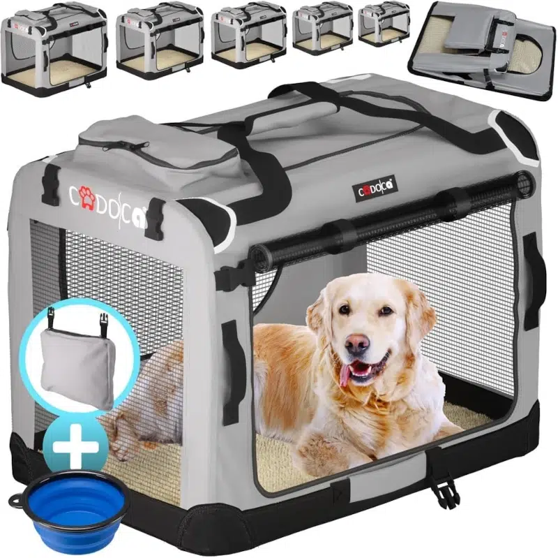 caisse de transport chat xxl