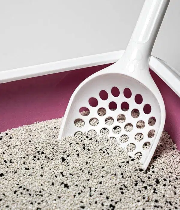 litiere agglomerante