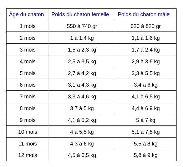 evolution poids maine coon