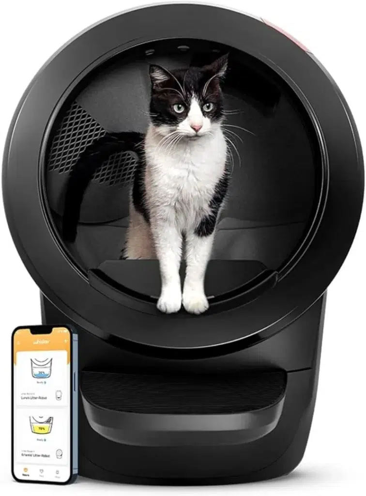 litter-robot-4-maine-coon