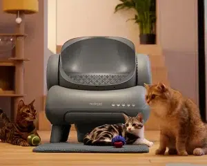 neakasa m1 litière automatique