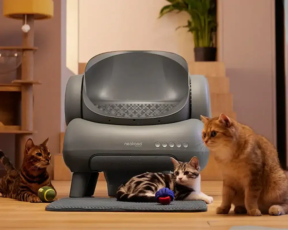 neakasa m1 litière automatique