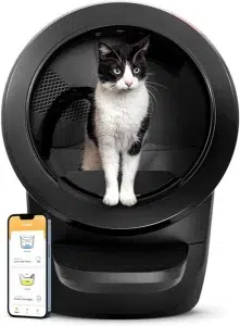 litter robot 4 avis sur litiere automatique