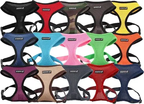 harnais puppia