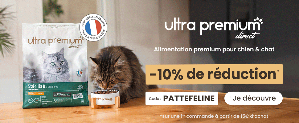 croquette ultra premium direct
