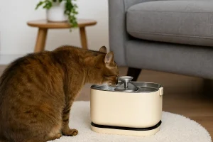 fontaine à eau chat sans électricité