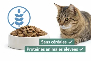 avantages des croquettes pour chat sans cereales